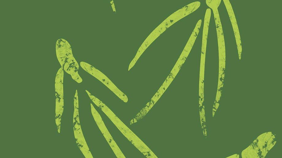MEDISOLA - FESTIVAL ZDRAVLJA I VITALNOSTI